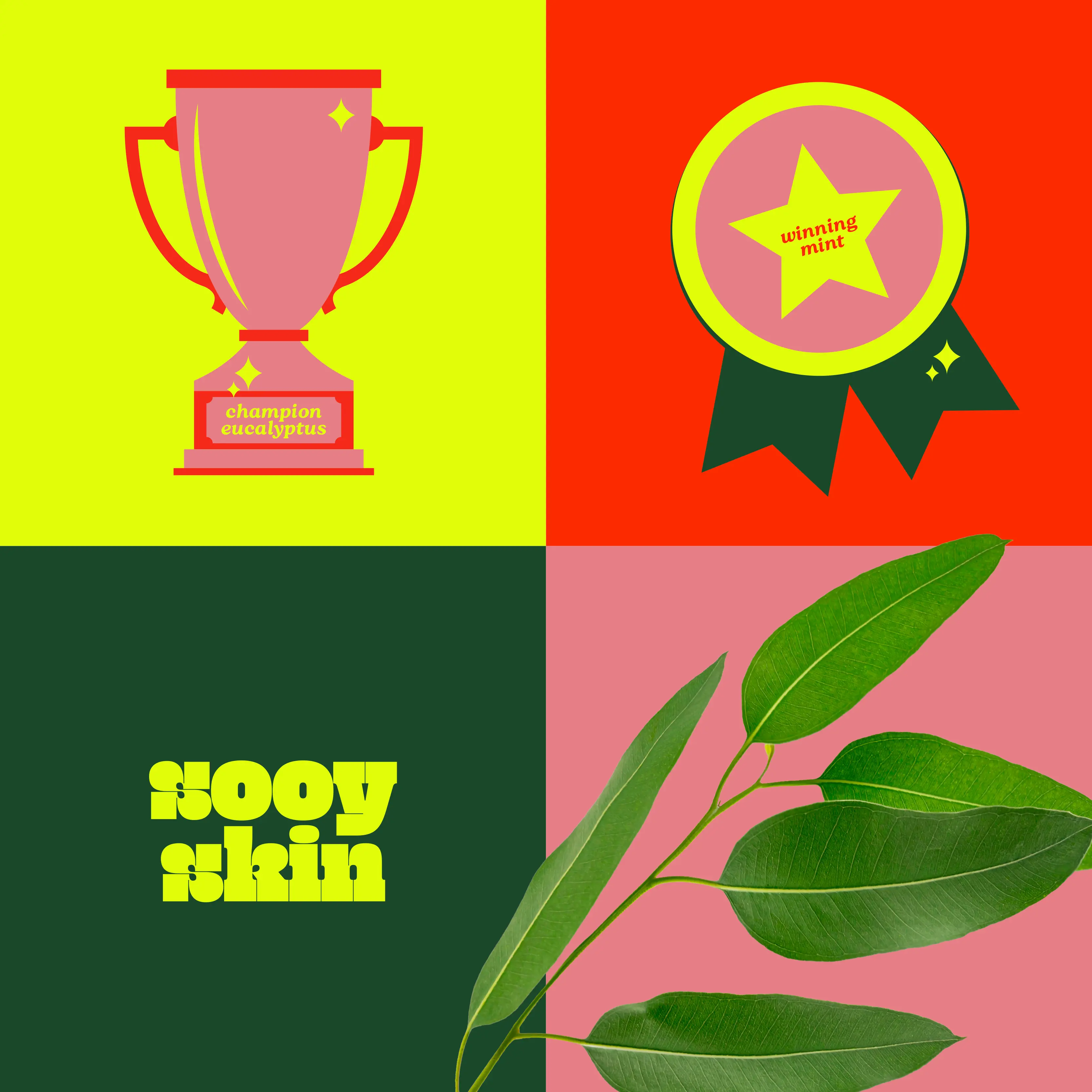 Branding for Sooy Skin