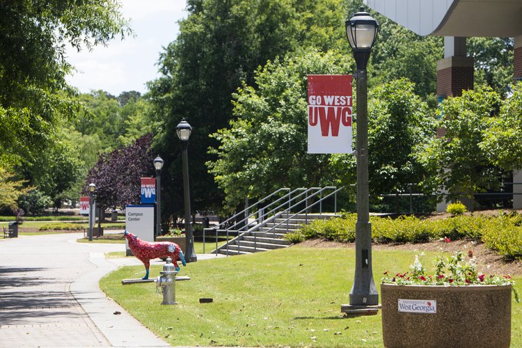 Another shot of UWG pole banners